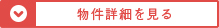 詳細を見る