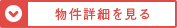 詳細を見る